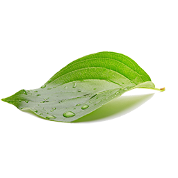 image01